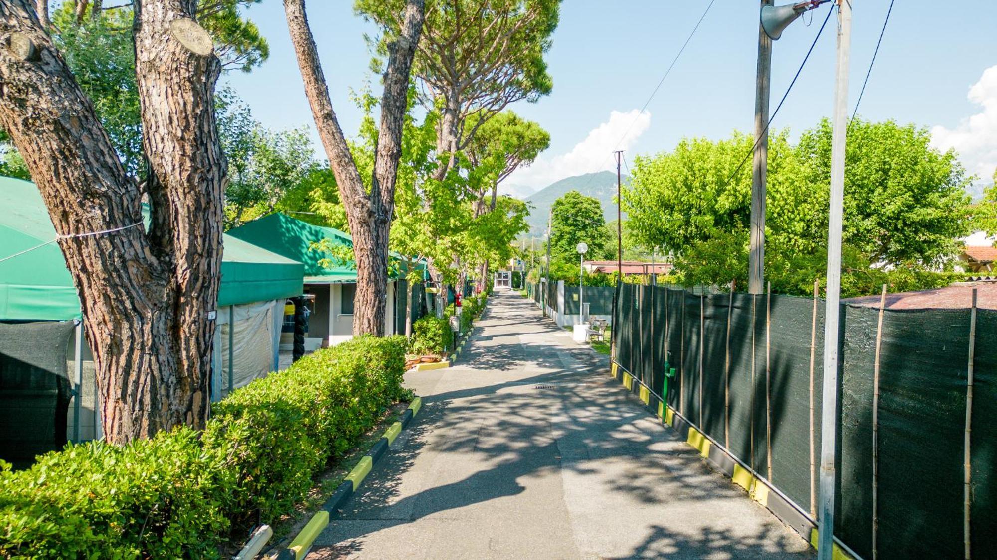 Camping Apuano 马里纳迪马萨 外观 照片